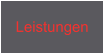 Leistungen